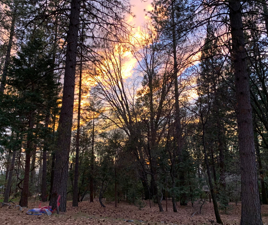 1 Nevada City