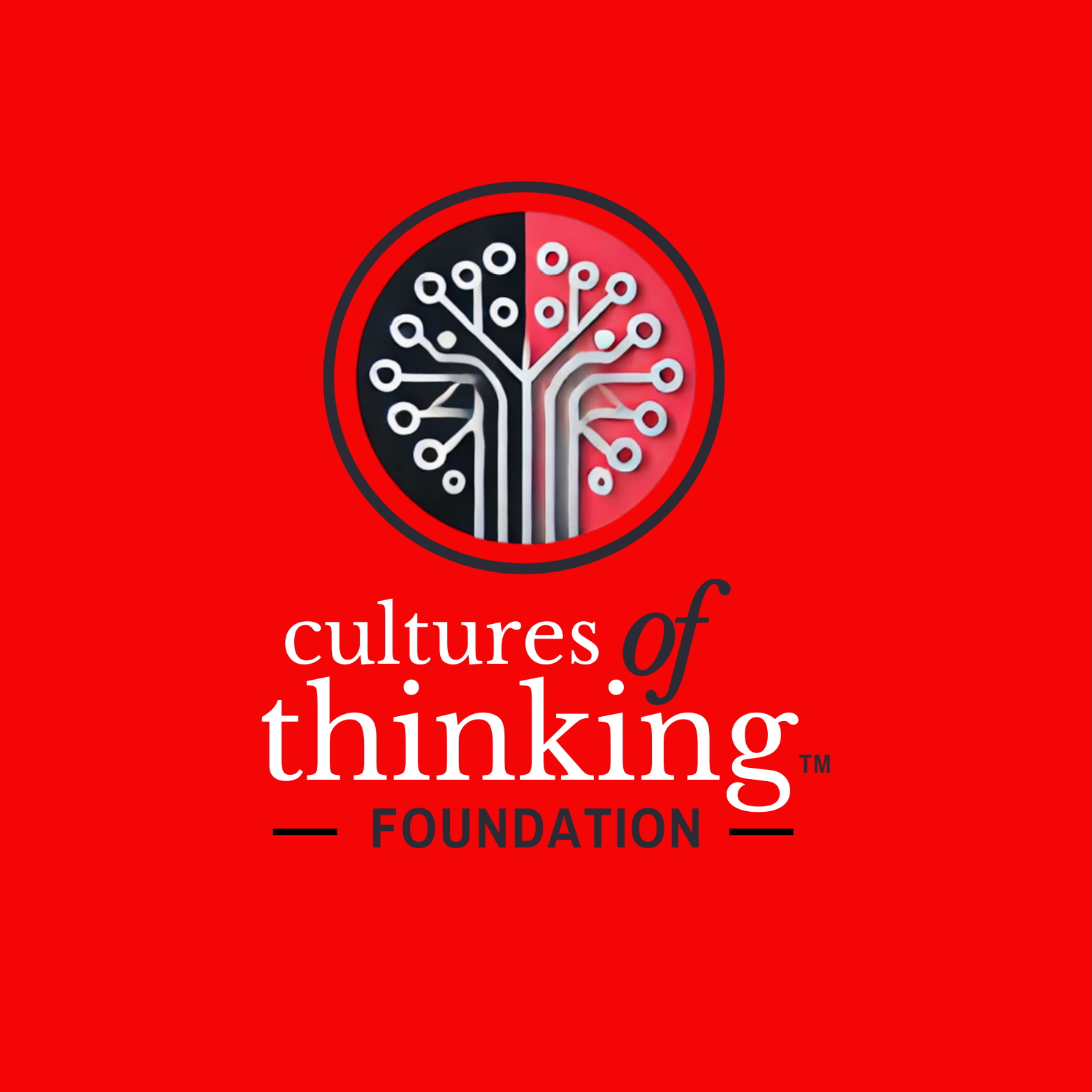 Cultures of Thinking Foundation Logo