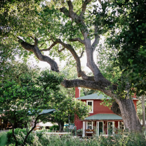 Untitled design (54)